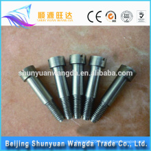 Pure molybdenum screw